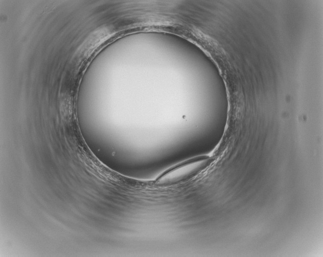 X0000060241169200511111922