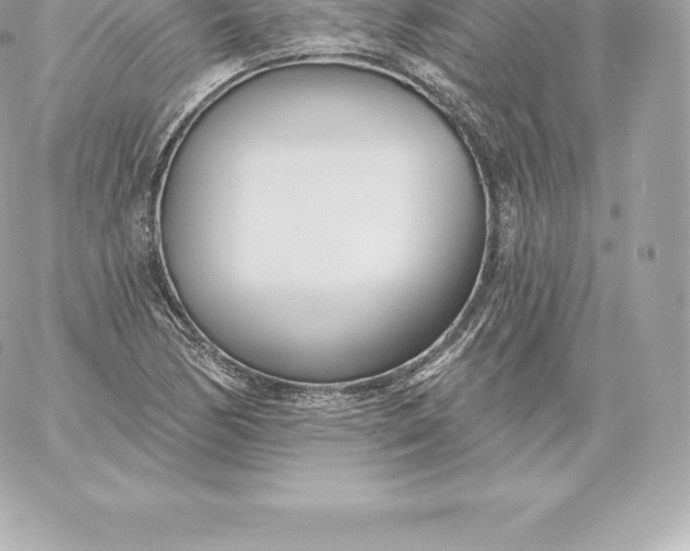 X0000060241170200511111922