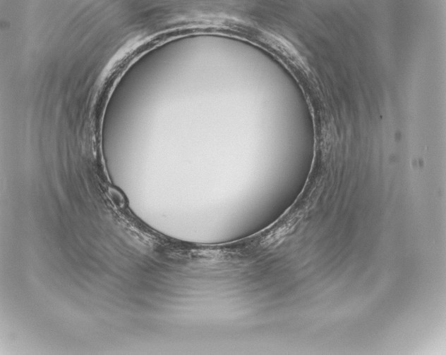 X0000060241172200511111922