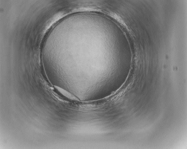 X0000060241173200511111922