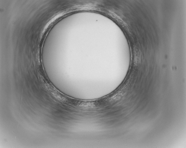 X0000060241174200511111922