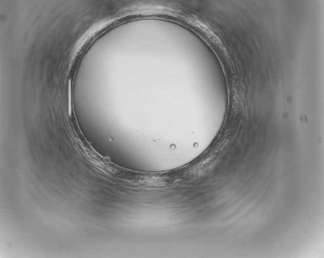 X0000060241175200511111922