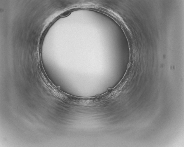 X0000060241176200511111922