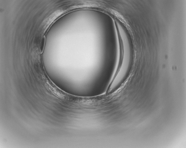 X0000060241177200511111922