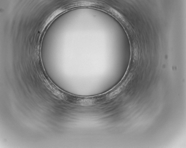 X0000060241178200511111922