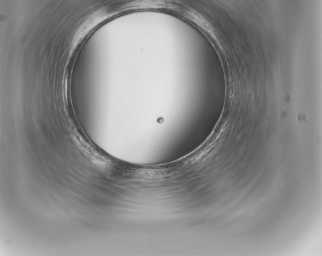 X0000060241179200511111922