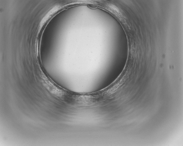 X0000060241180200511111922