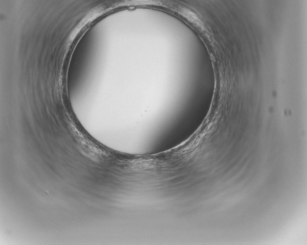 X0000060241181200511111922