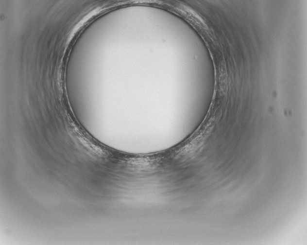 X0000060241182200511111921