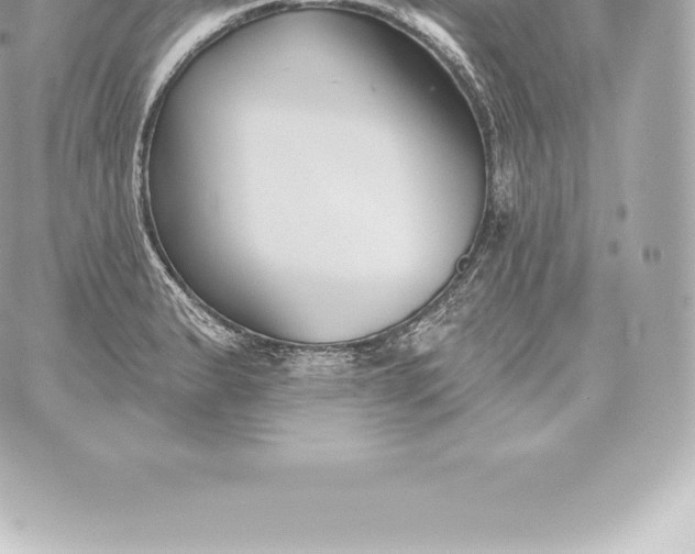 X0000060241183200511111921