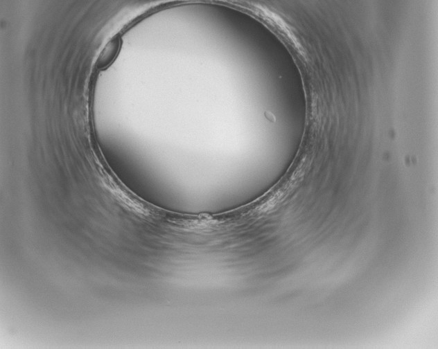 X0000060241184200511111921