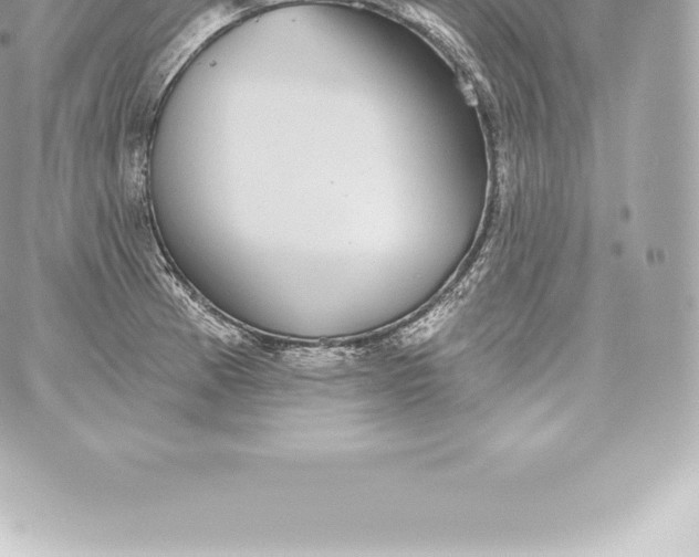 X0000060241185200511111921