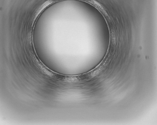 X0000060241186200511111921