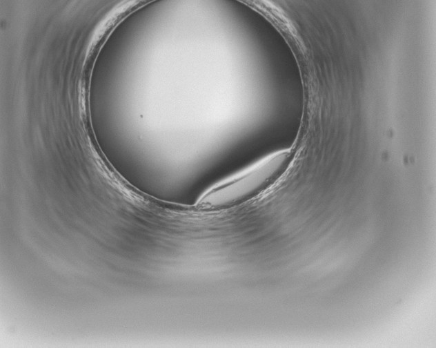 X0000060241188200511111921