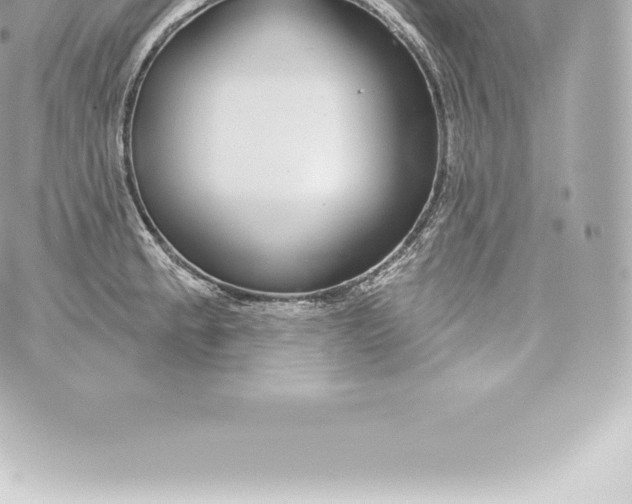 X0000060241189200511111921