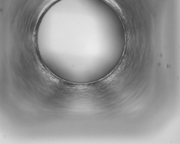 X0000060241190200511111921