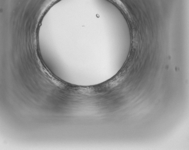 X0000060241191200511111921