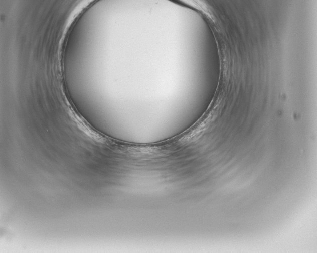 X0000060241192200511111921