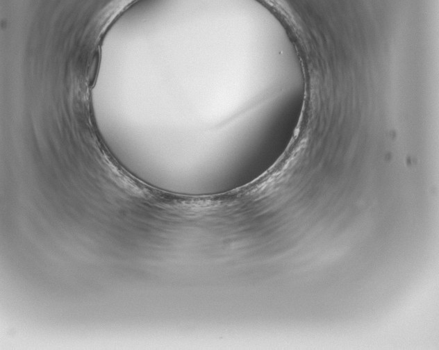 X0000060241193200511111921