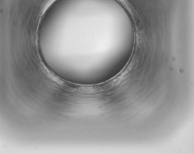 X0000060241194200511111921