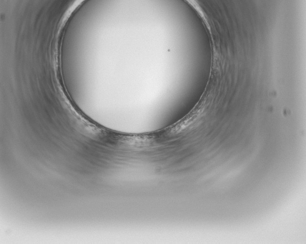 X0000060241195200511111921