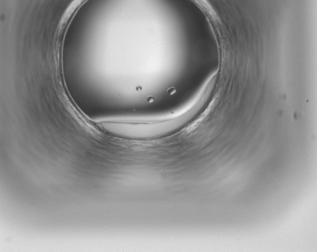 X0000060241196200511111921