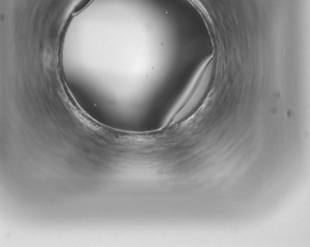 X0000060241197200511111921