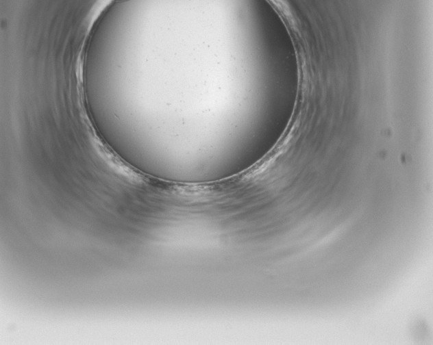 X0000060241198200511111921