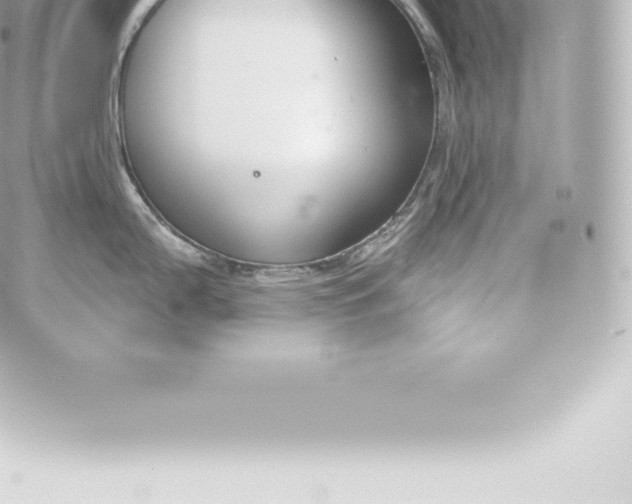 X0000060241199200511111921