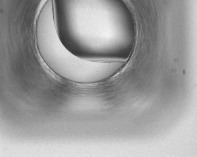 X0000060241200200511111921