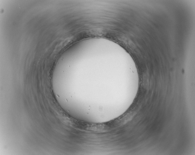 X0000060241201200511111920