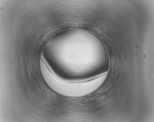 X0000060241202200511111920