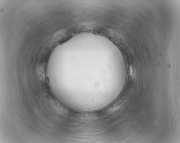 X0000060241203200511111920