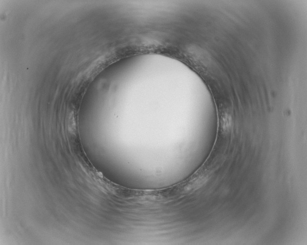 X0000060241204200511111920