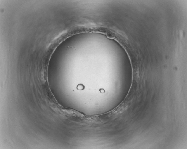 X0000060241205200511111920