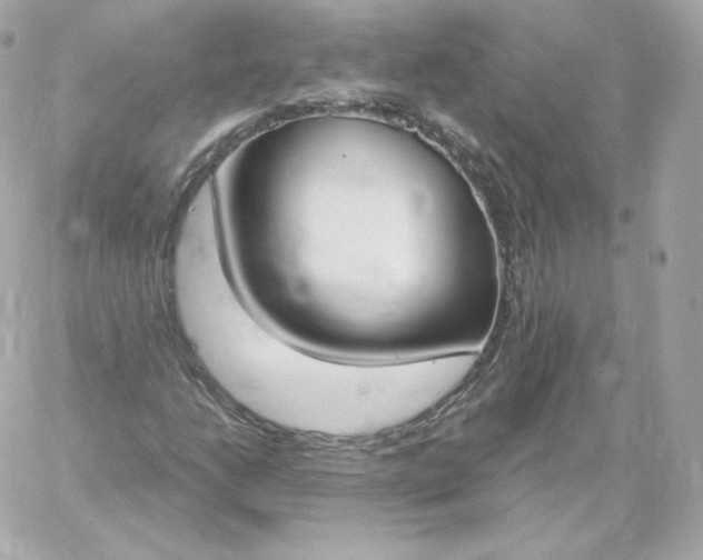 X0000060241206200511111920