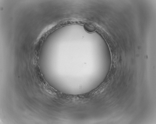 X0000060241207200511111920