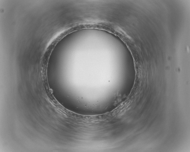 X0000060241208200511111920