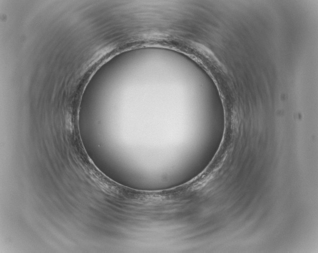 X0000060241209200511111921