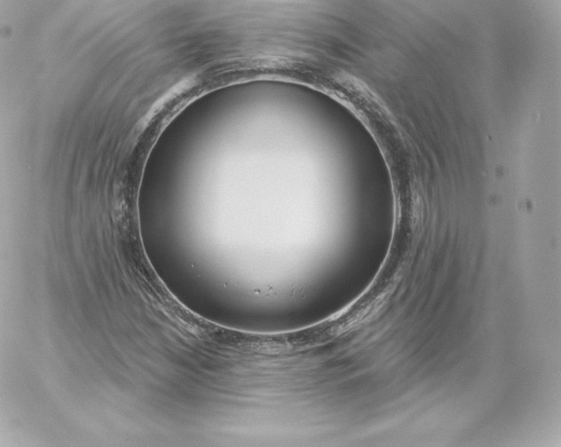 X0000060241210200511111921