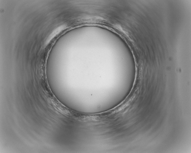 X0000060241211200511111921