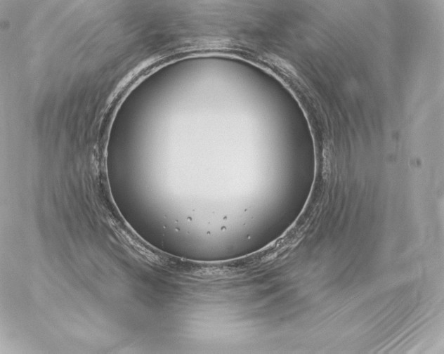 X0000060241212200511111921