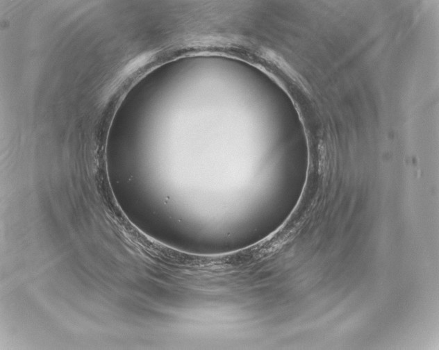 X0000060241213200511111921