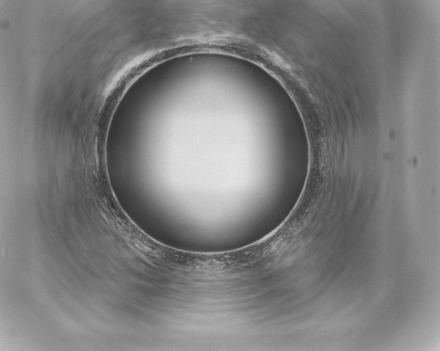 X0000060241214200511111921