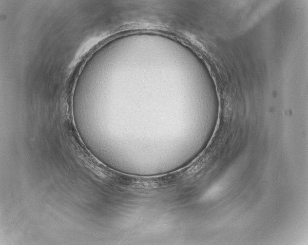 X0000060241215200511111921