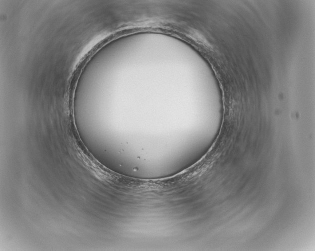 X0000060241216200511111921