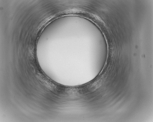 X0000060241217200511111921