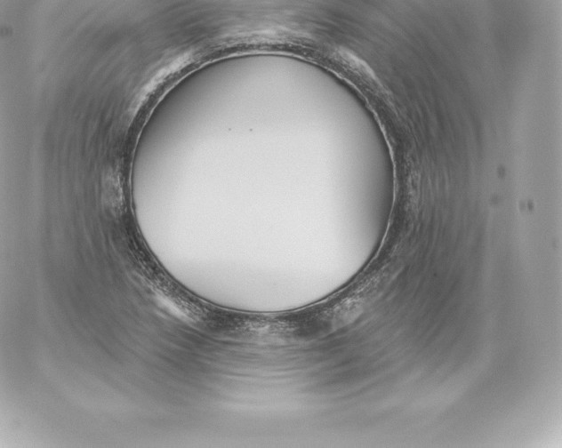 X0000060241218200511111921