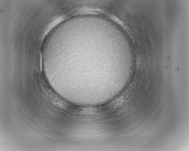 X0000060241219200511111921