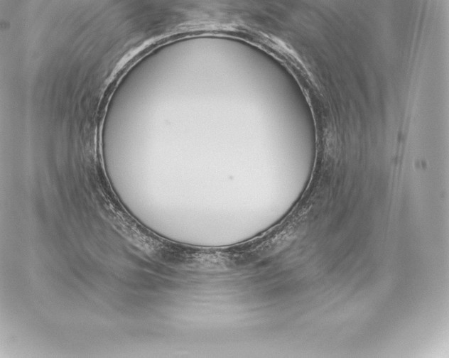 X0000060241220200511111921